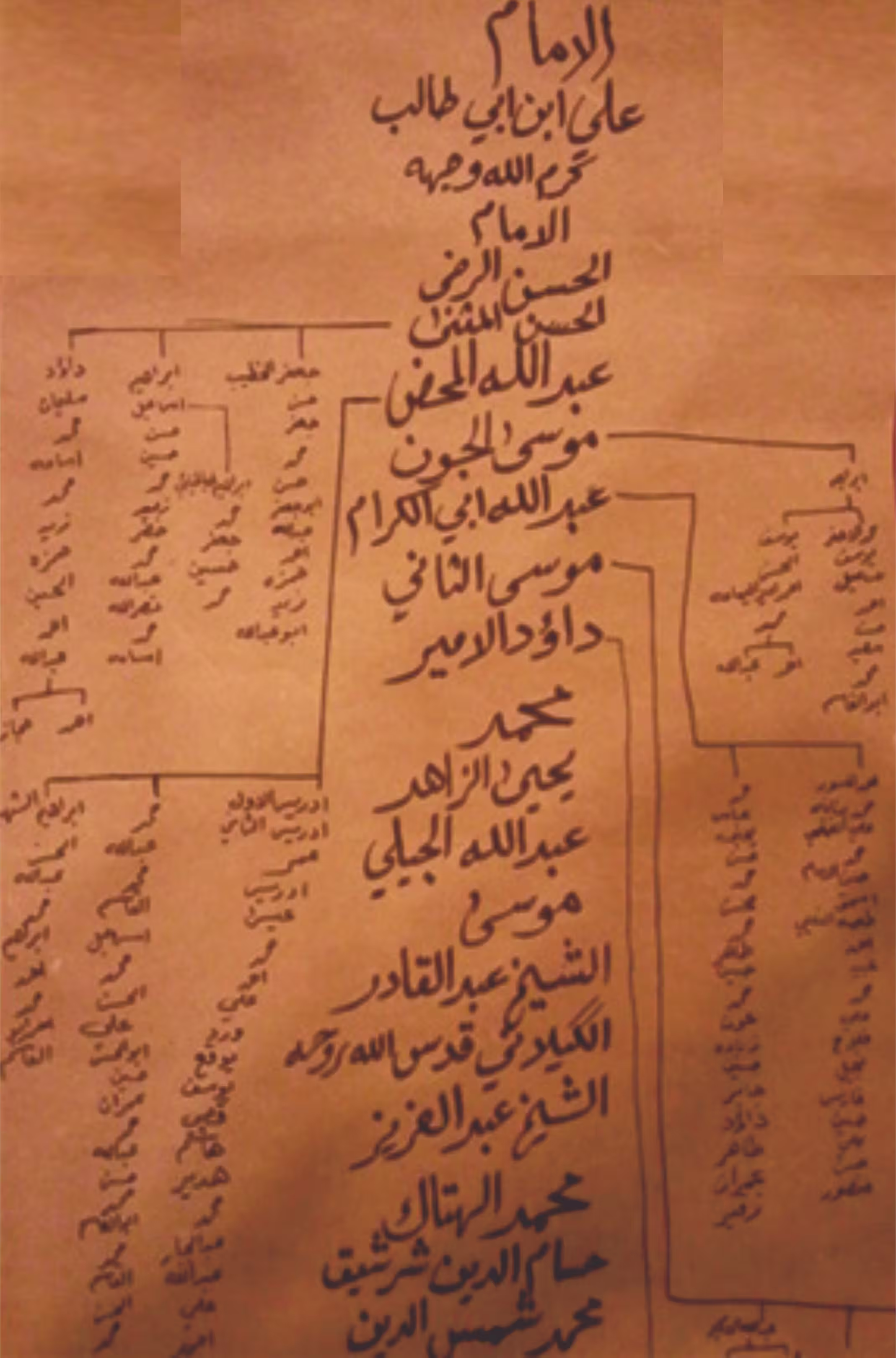 shajara 12