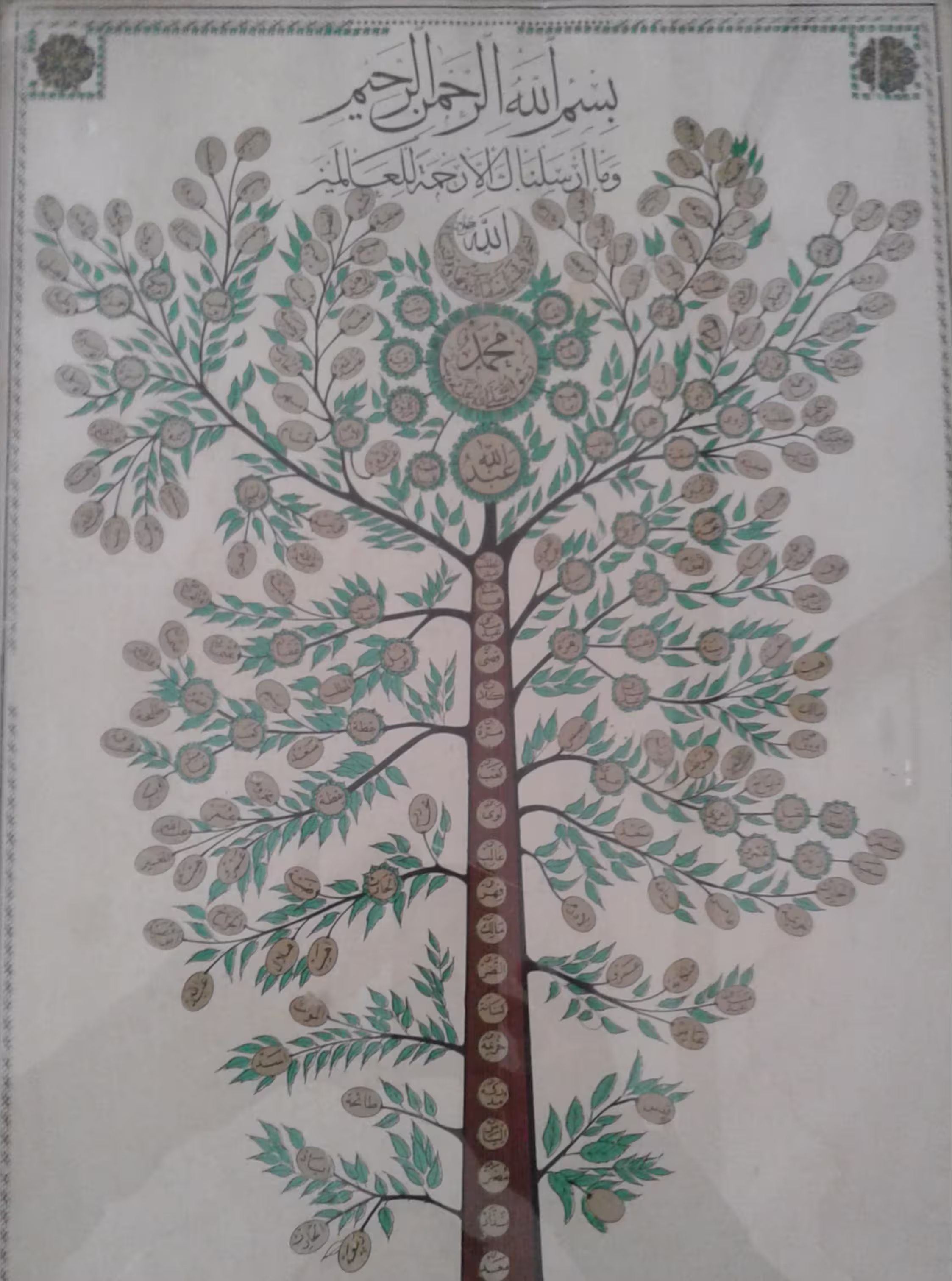 shajara 15