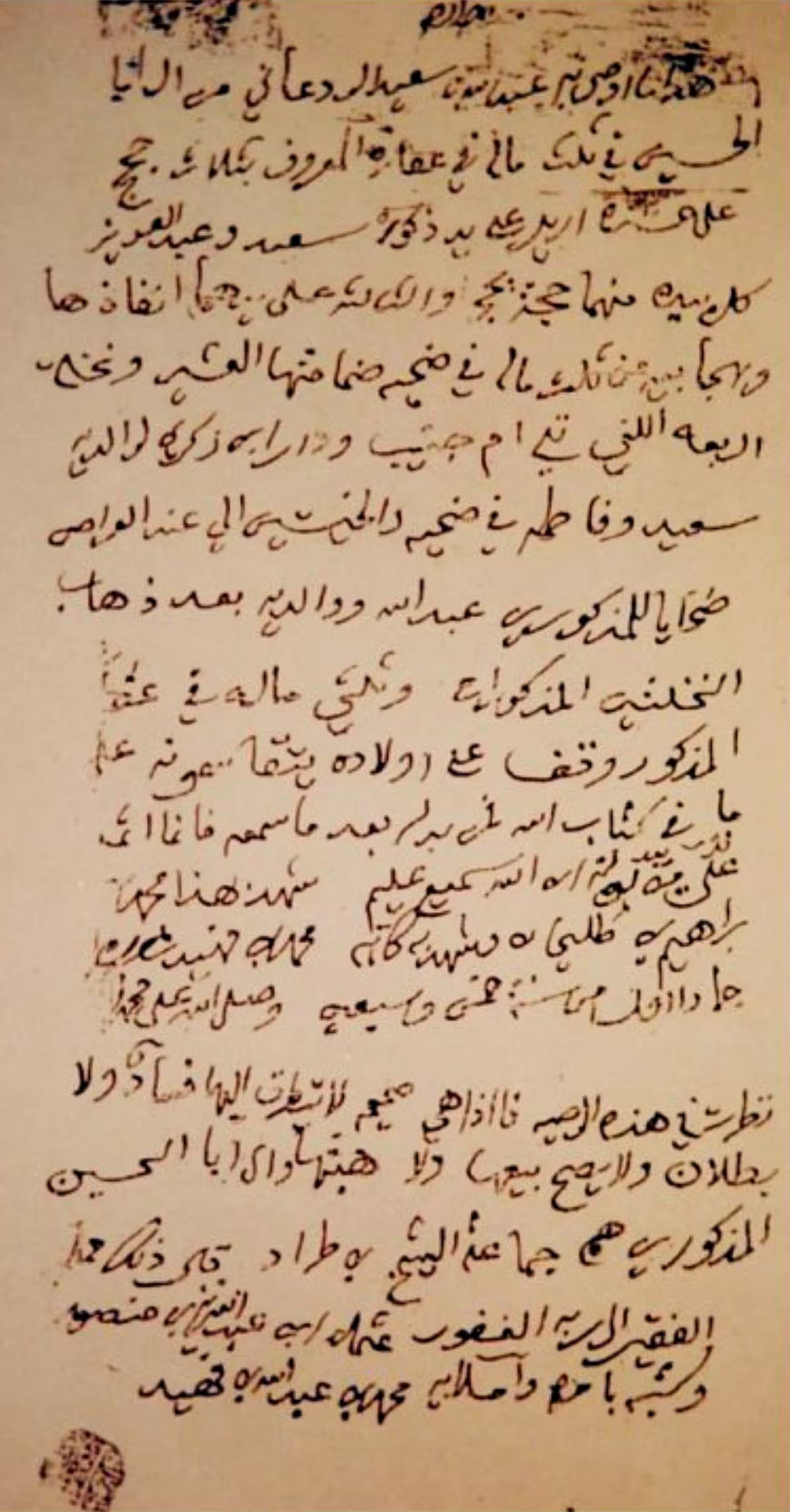 shajara 20