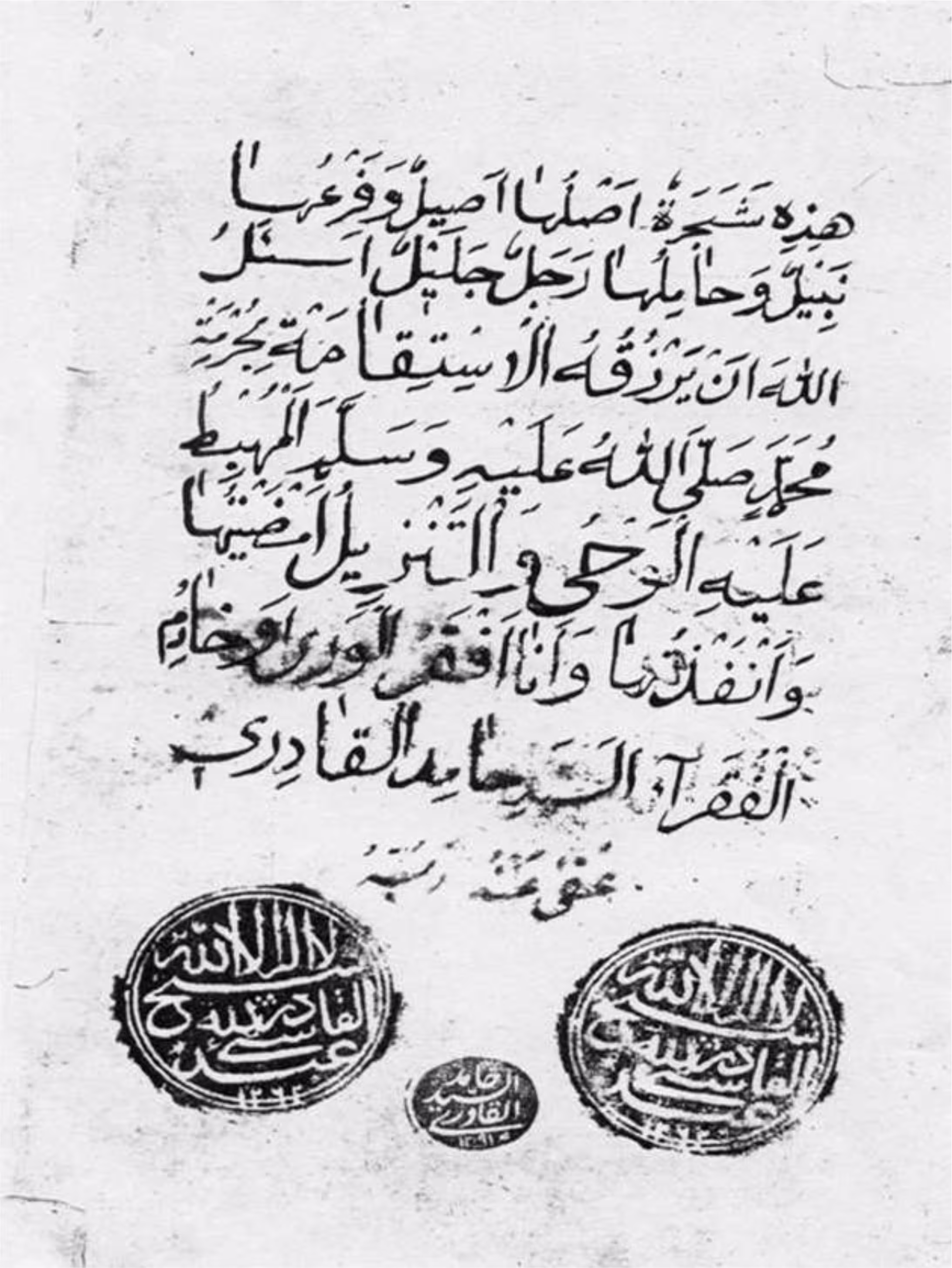 shajara 23