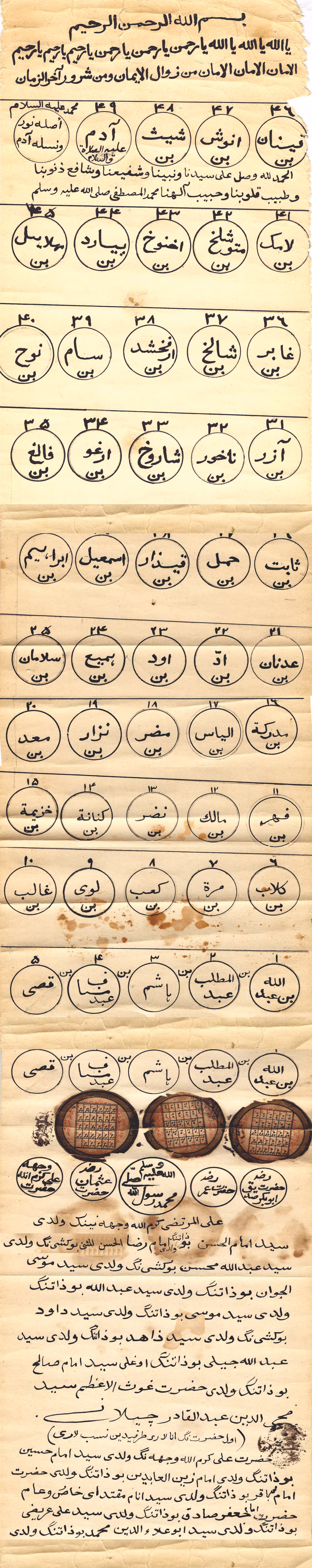 shajara 7